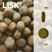 LISK GRAIN FREE Dog Puppy / Junior Large Breed Salmon with Sweet Potato & Vegetables